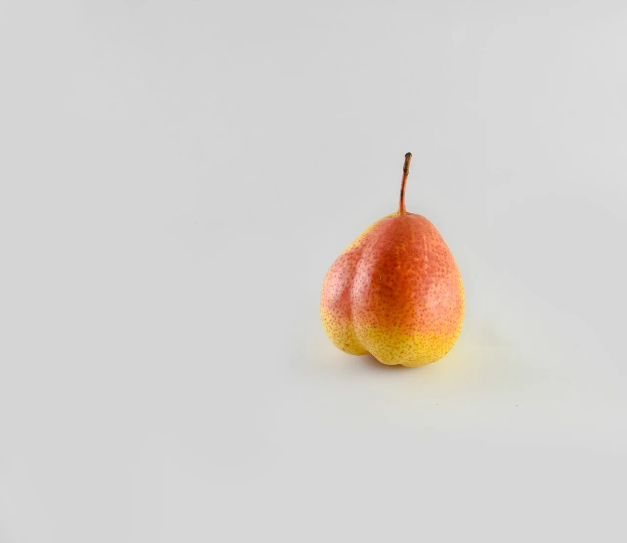 Immagine selezionata