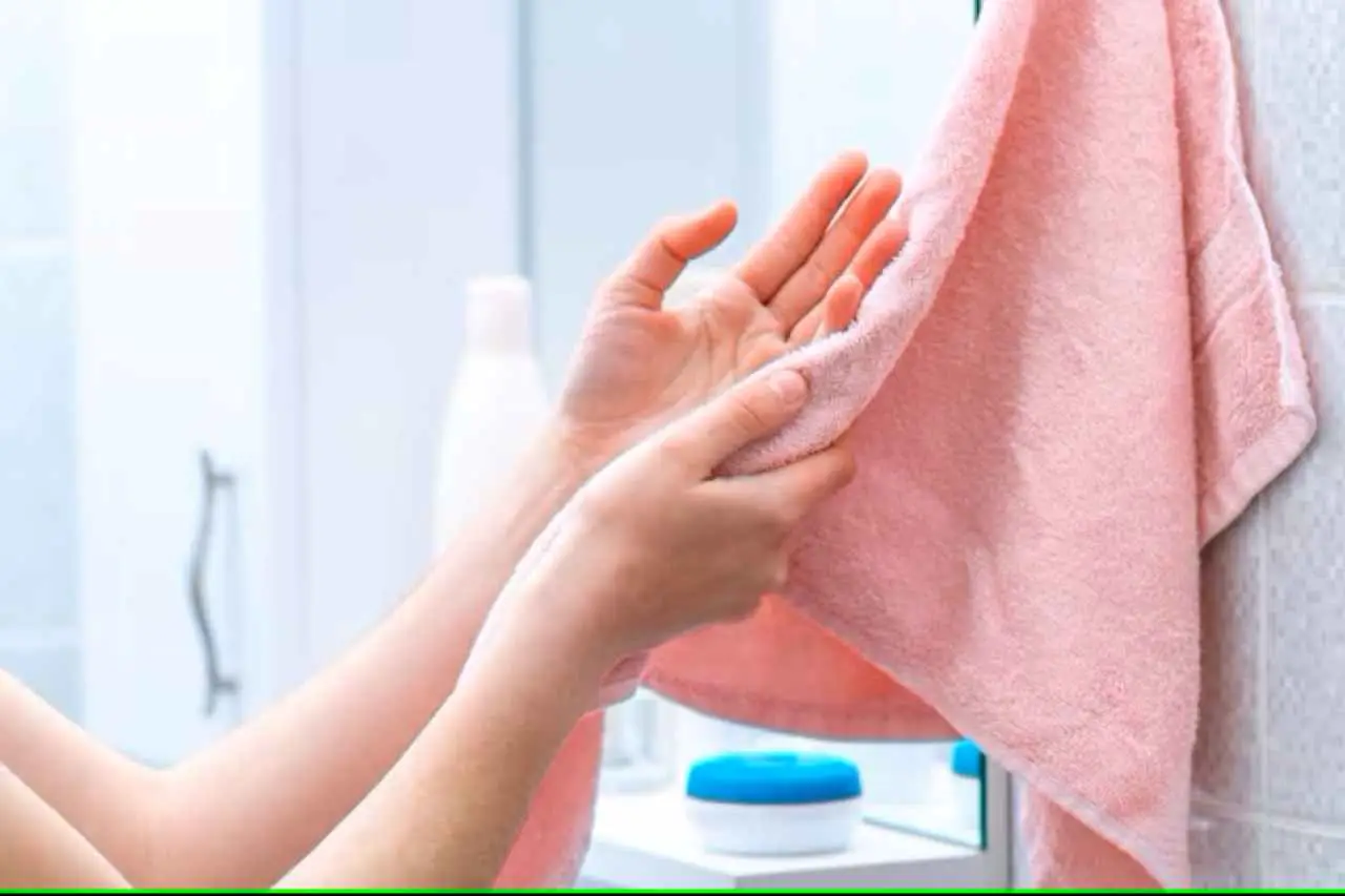 Immagine selezionata
