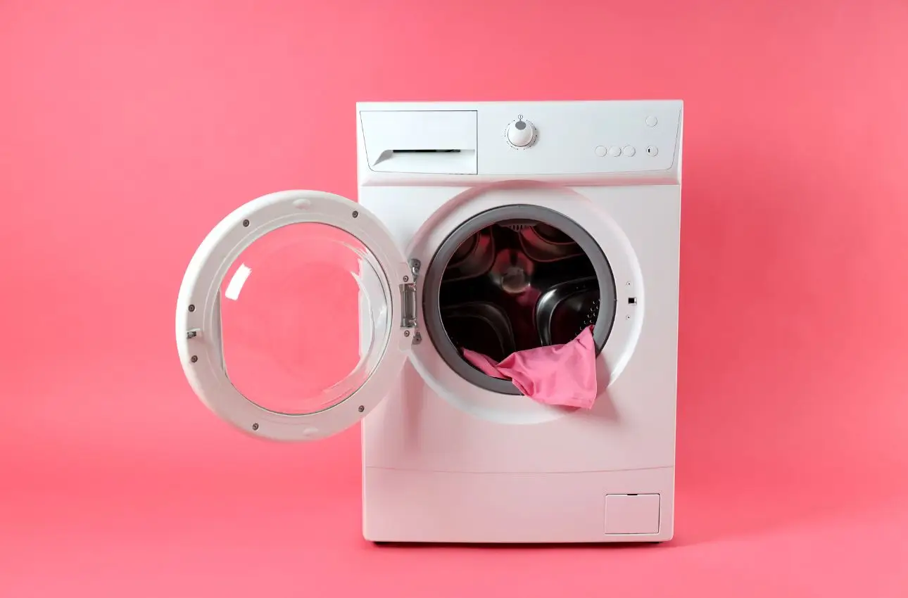 Immagine selezionata