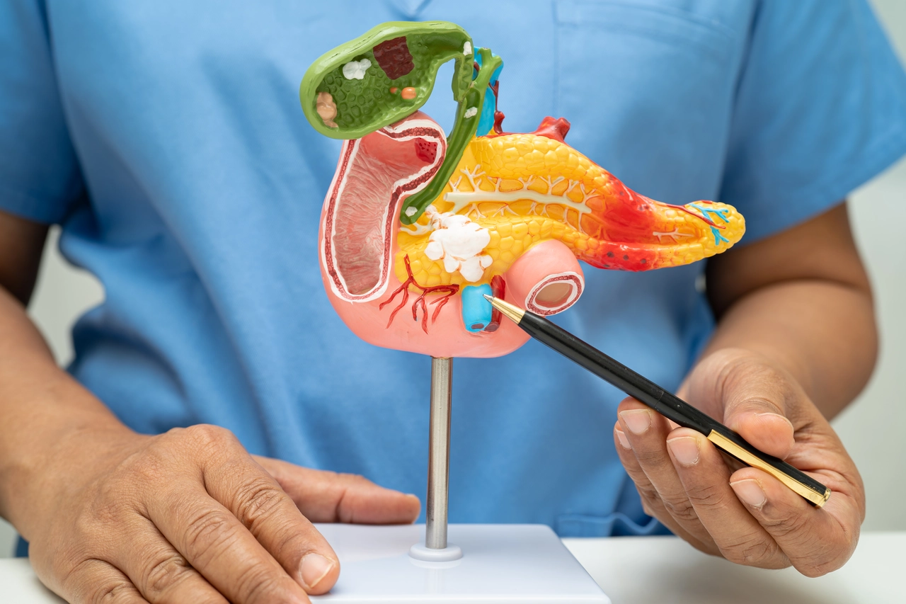 SP - Lattina con simbolo pancreas